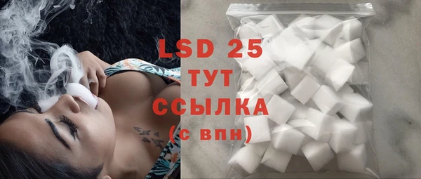 шишки Няндома