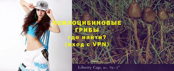 прущий лед Осинники