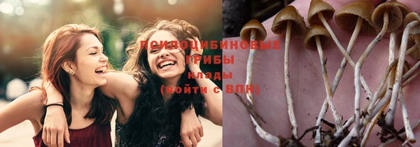 каннабис Осташков