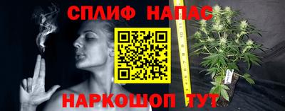 винт Гатчина