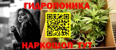 ешки Гагарин
