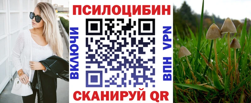 как найти Кувандык Галлюциногенные грибы Psilocybe