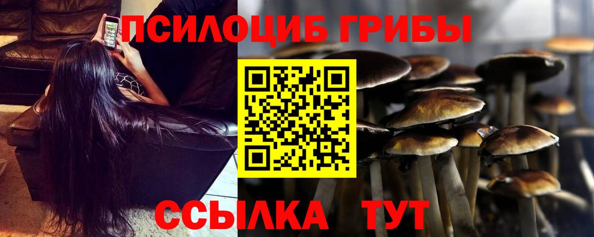 Галлюциногенные грибы Magic Shrooms Кувандык