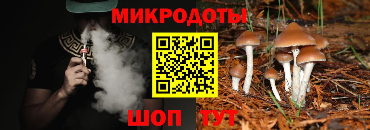 Псилоцибиновые грибы Psilocybe  Кувандык 
